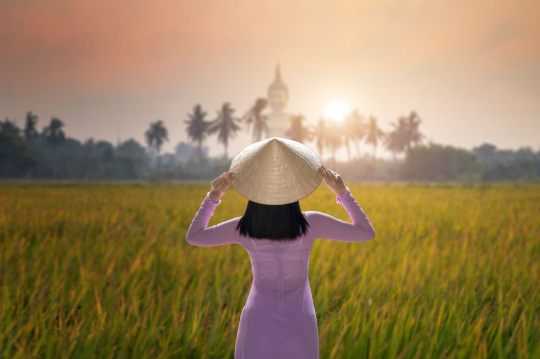Виетнам – приключение за сетивата, вдъхновение за душата